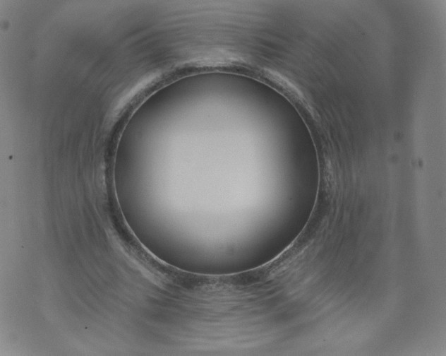 X0000074280535200609151854