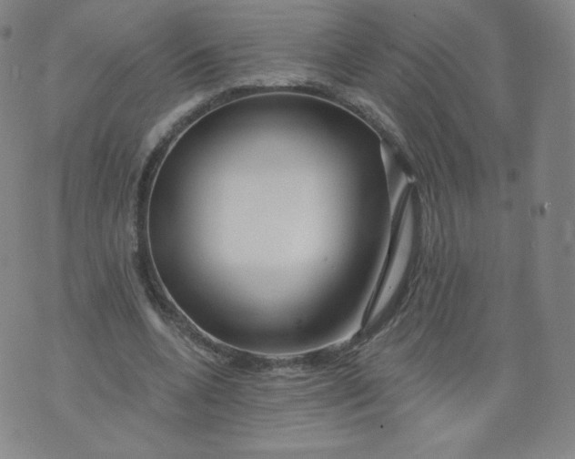 X0000074280536200609151854