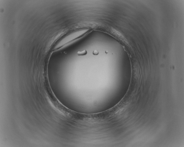 X0000074280538200609151854