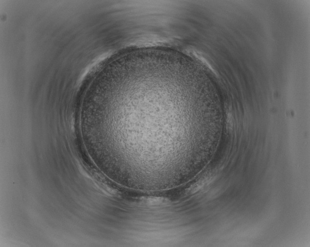 X0000074280539200609151854