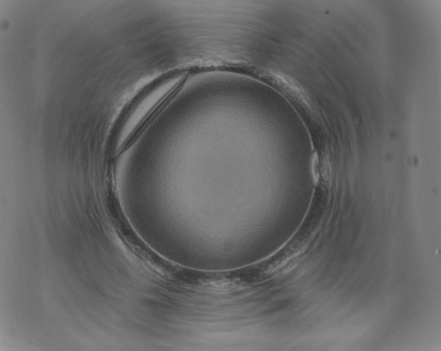 X0000074280540200609151854