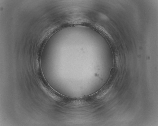 X0000074280541200609151854