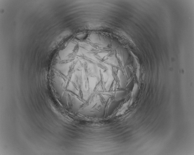 X0000074280542200609151854