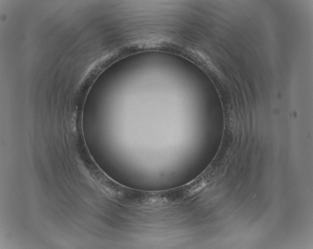 X0000074280543200609151854