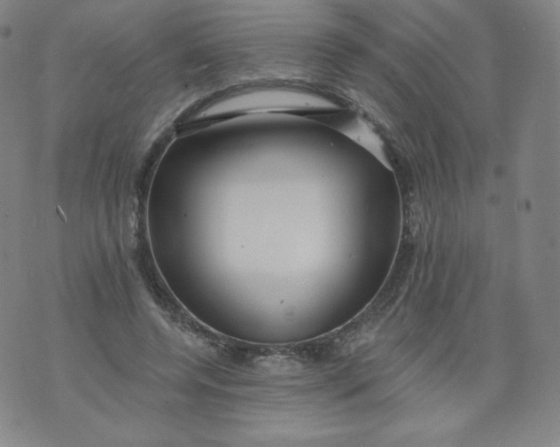 X0000074280544200609151854