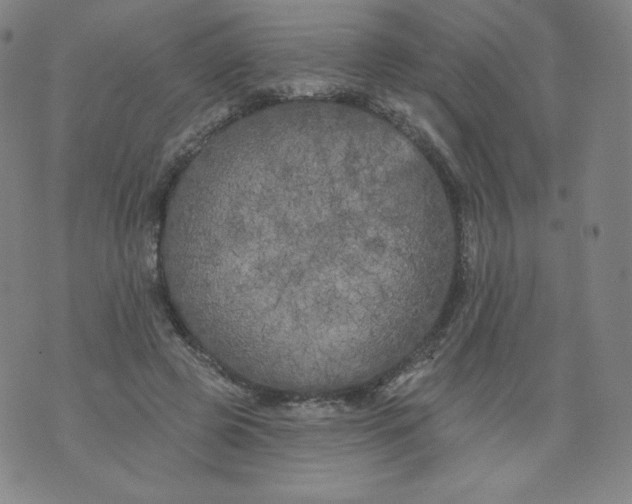 X0000074280545200609151854