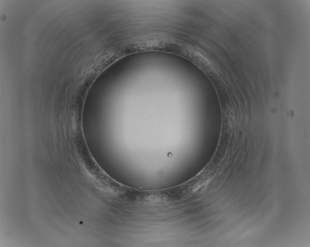 X0000074280546200609151854