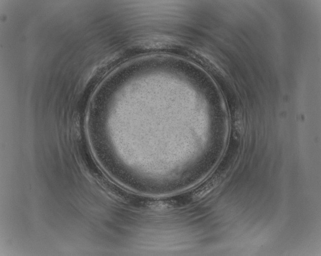 X0000074280547200609151854