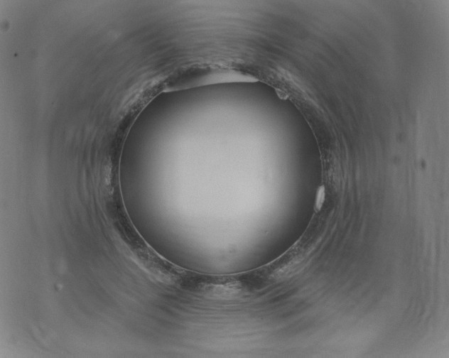 X0000074280548200609151854