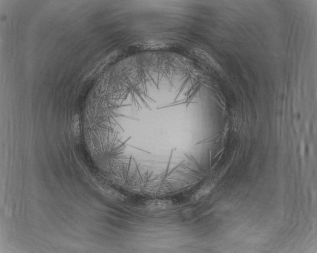 X0000074280549200609151854