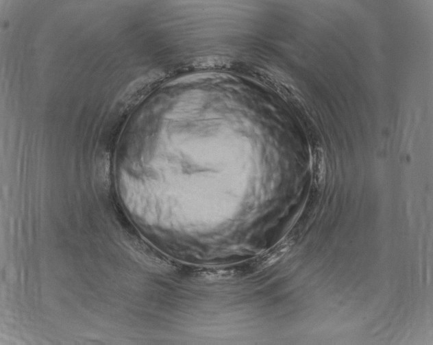 X0000074280550200609151854