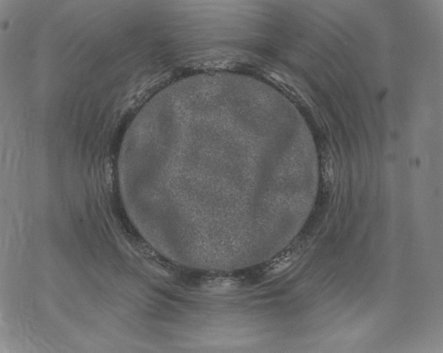 X0000074280551200609151854