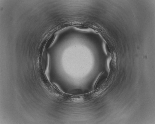 X0000074280552200609151854