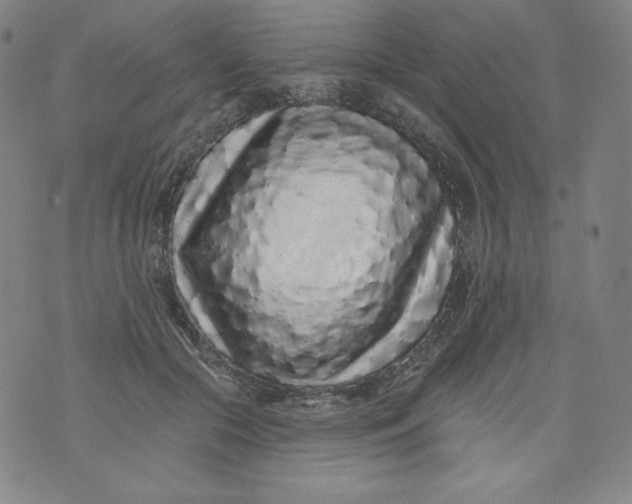 X0000074280553200609151854