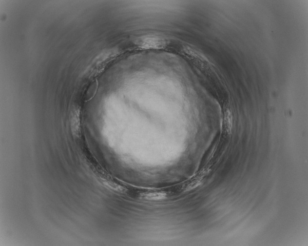 X0000074280554200609151854