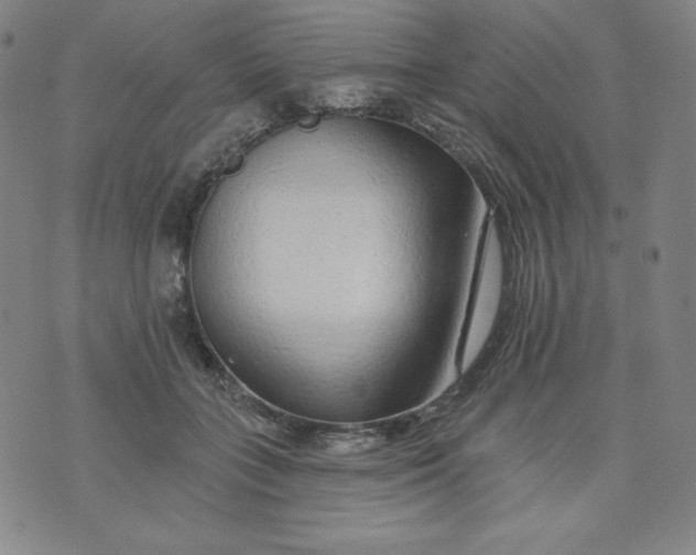 X0000074280555200609151854