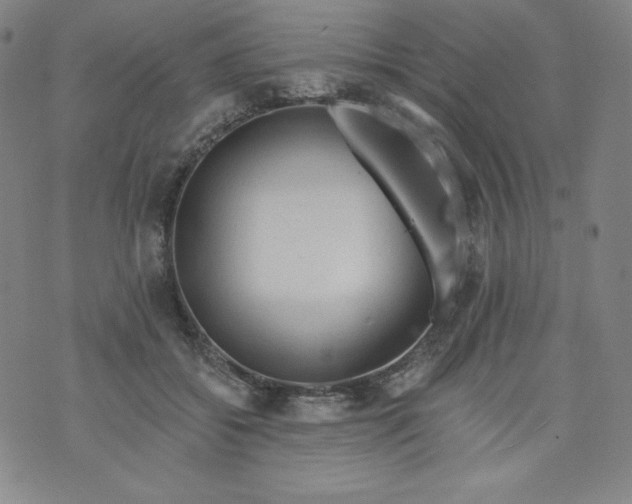 X0000074280556200609151854