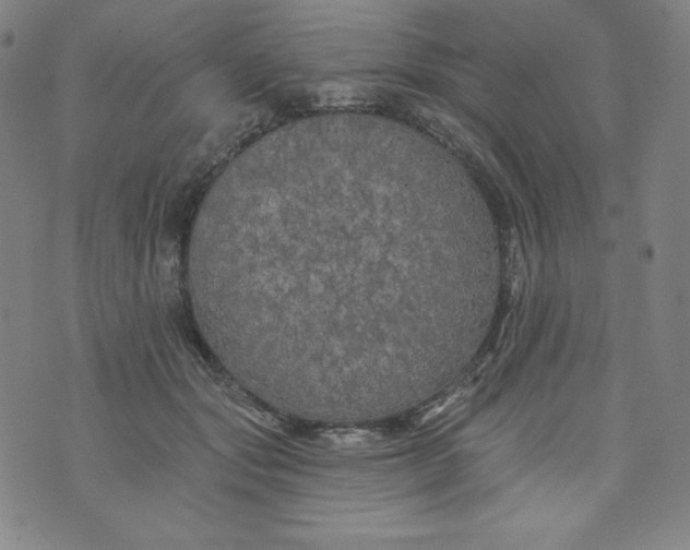 X0000074280557200609151854