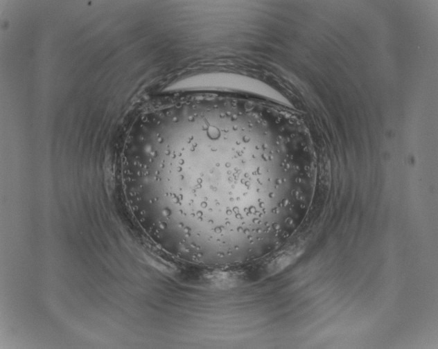 X0000074280558200609151854