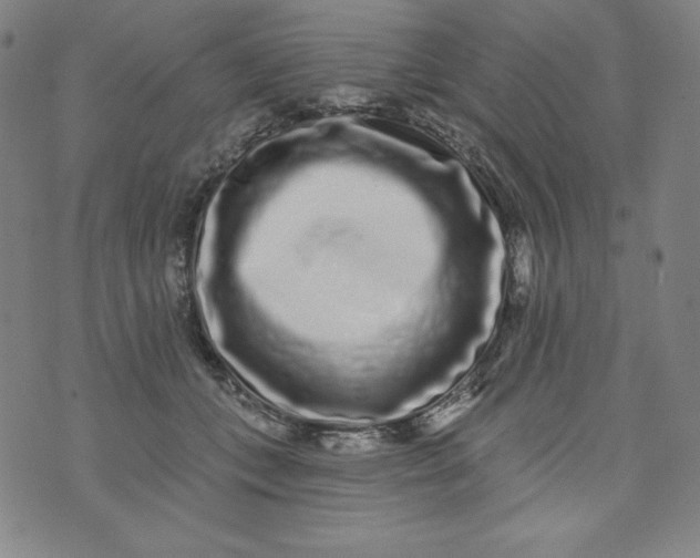 X0000074280559200609151855