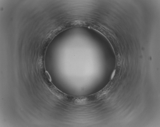 X0000074280560200609151855