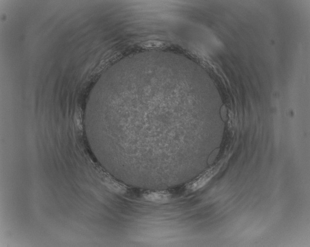 X0000074280561200609151855