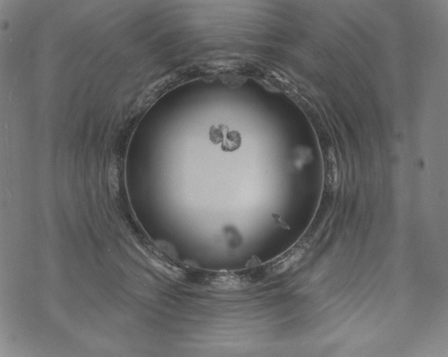 X0000074280562200609151855