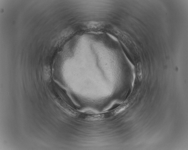 X0000074280563200609151855