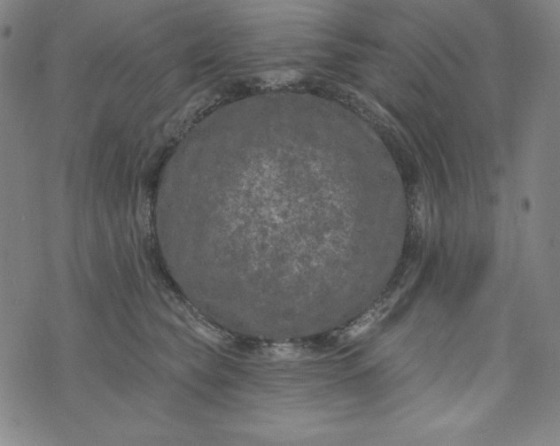 X0000074280565200609151855