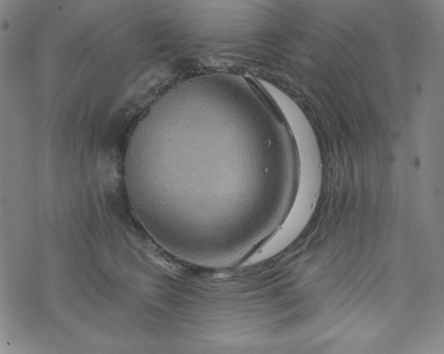 X0000074280566200609151855