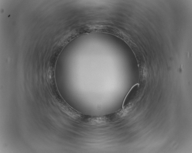 X0000074280567200609151855