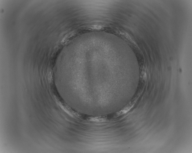 X0000074280568200609151855