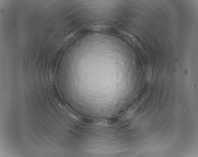 X0000074280569200609151855