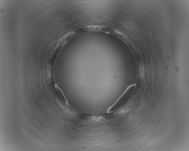 X0000074280570200609151855