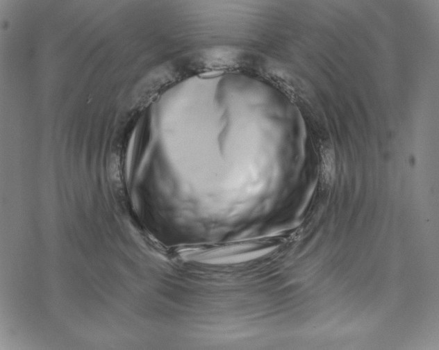 X0000074280571200609151855