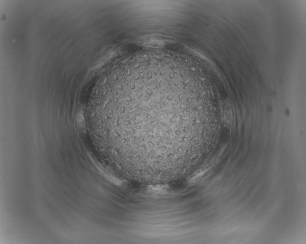 X0000074280573200609151855