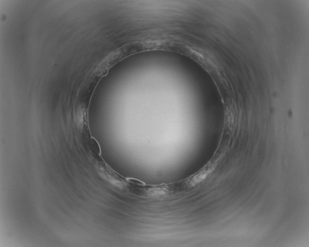 X0000074280574200609151855