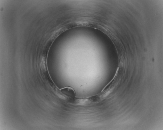 X0000074280575200609151855