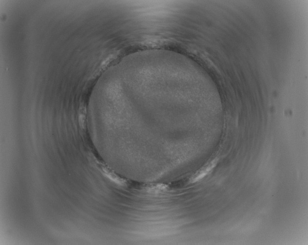 X0000074280576200609151855