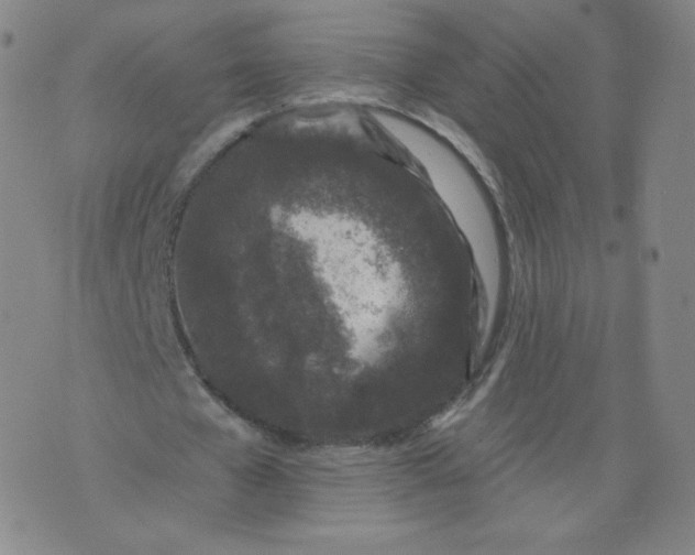 X0000074280577200609151854