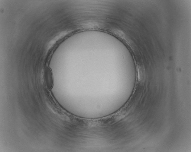 X0000074280579200609151854