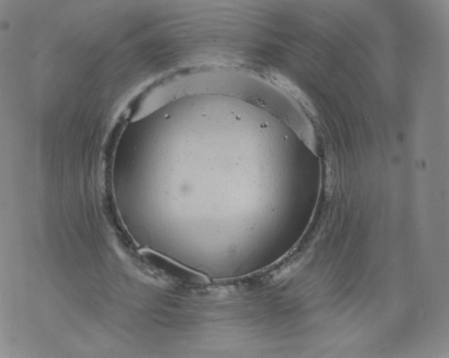 X0000074280580200609151854