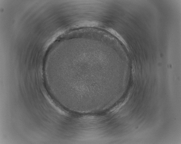 X0000074280581200609151854