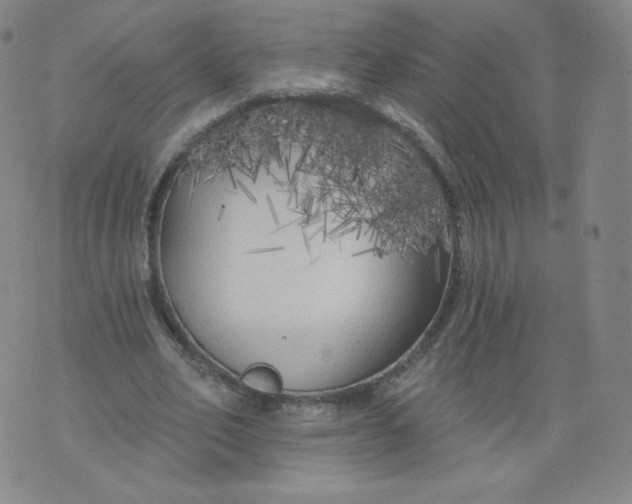 X0000074280582200609151854