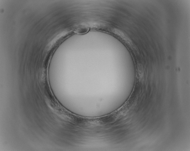 X0000074280583200609151854