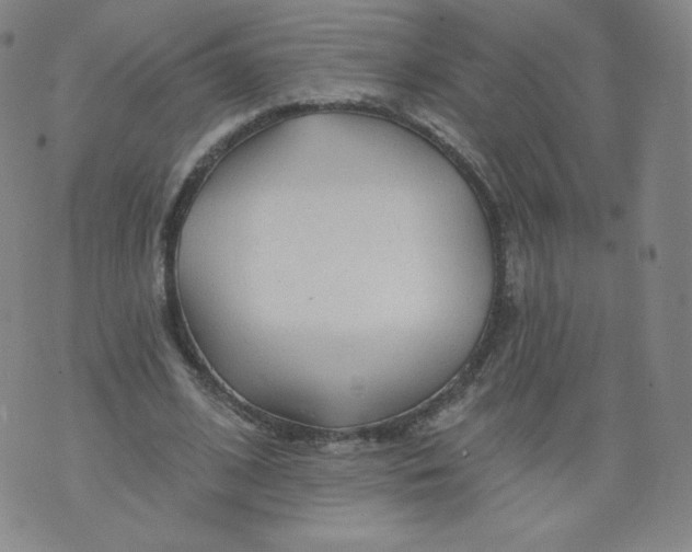 X0000074280584200609151854