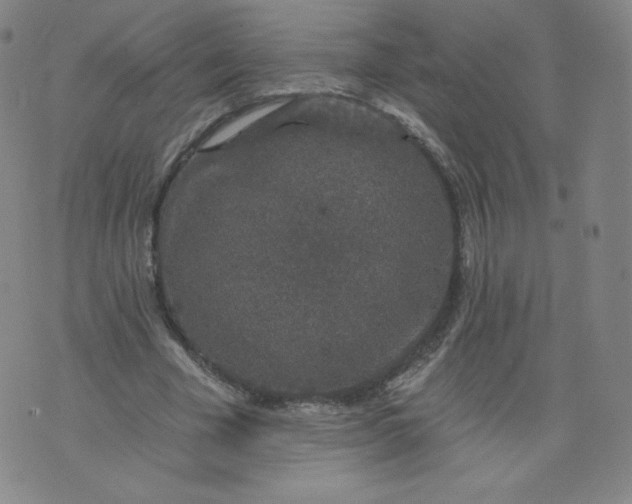 X0000074280585200609151854