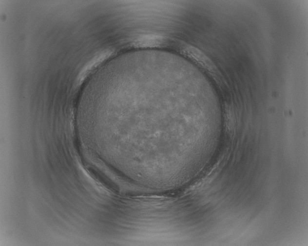 X0000074280586200609151854