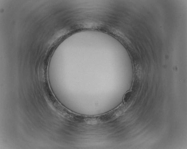 X0000074280587200609151854