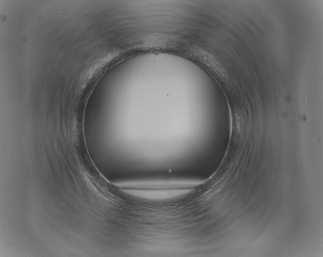 X0000074280588200609151854